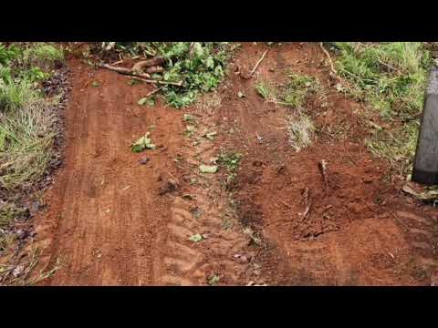 Faz.464 hectares valor 10.milhães escriturada no Mato Grosso Porto Alegre do Norte zap.91982165639 