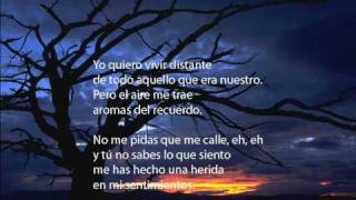 Noches de Bohemia Mago de OZ