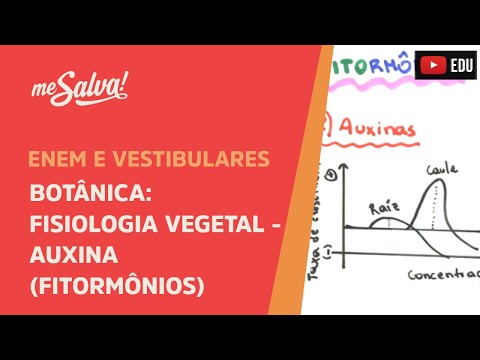 Me Salva! BOT30 - Botânica - Fisiologia vegetal: Auxina (fitormônios)