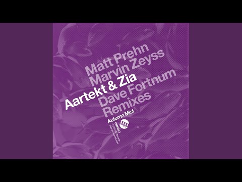 Springs (Marvin Zeyss Remix)