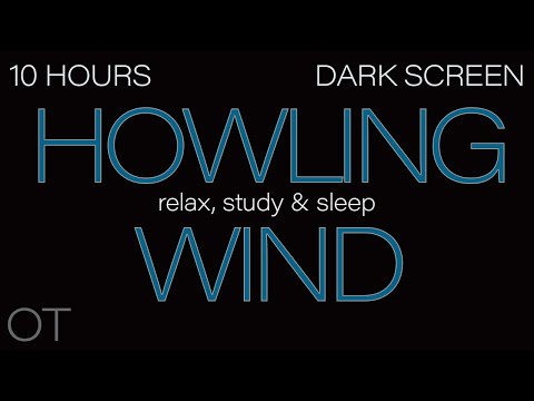 HOWLING WIND Sounds for Sleeping| Relaxing| Studying| BLACK SCREEN| Real Storm Sounds| 10 HOURS