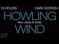 HOWLING WIND Sounds For Sleeping Relaxing Studying BLACK SCREEN Real Storm Sounds 10 HOURS