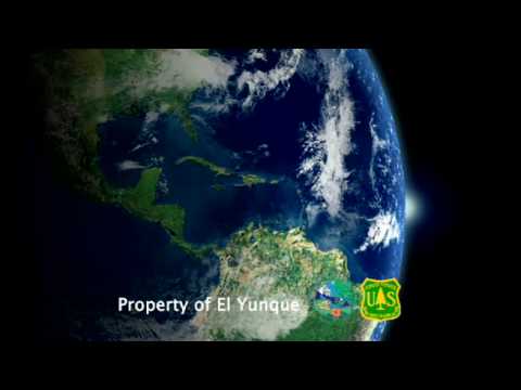 A Journey to El Yunque - Benicio del Toro