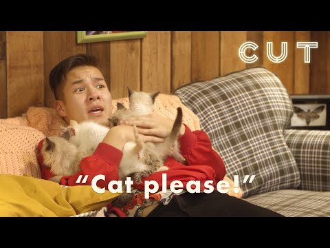 If You Scream You Get A Kitten | Scaredy Cats | Cut