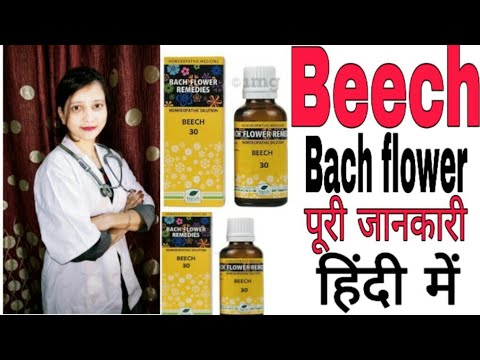 Beech bach flower uses (हिंदी में)