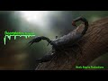 Scorpion By BurgeraX Electronic Drum And Bass