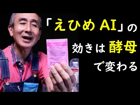 トマト酵母の使い方は？あまり知られていないが効果的な肥料に注目！  庭園