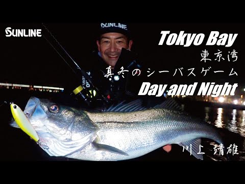 真冬の東京湾&湾奥のシーバスを攻略せよ/川上 靖雄