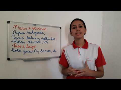 Ciências-mares, lagos, rios e oceanos