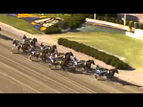 Fyraåringseliten Club Grand Prix 2008 -Harpers Joker