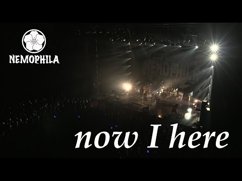 NEMOPHILA / now I here [Official Live Video]