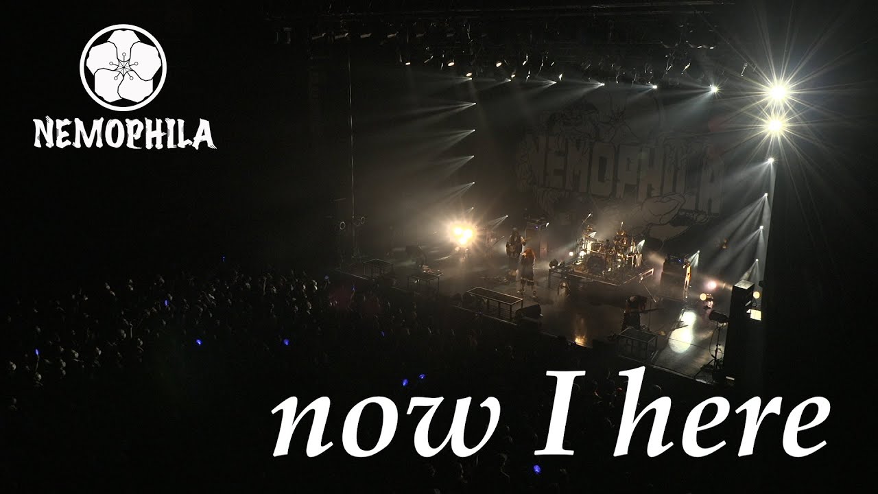 NEMOPHILA / now I here [Official Live Video]