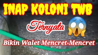 Download lagu Inap koloni twb sangat joss mp3