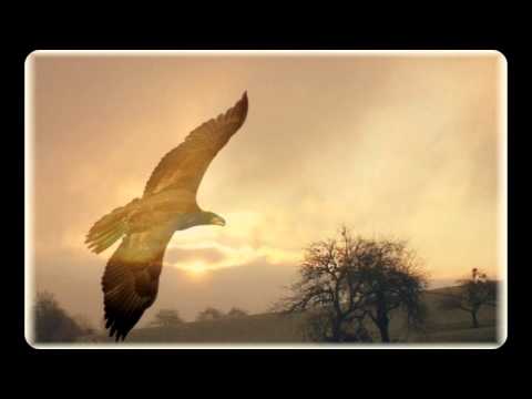 Traum'er Leben ~ Der Adlerflug