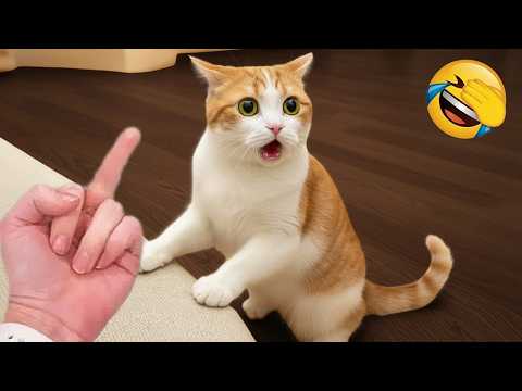 笑ったらアウト😅 ペットの面白リアクション2026 😹🐶