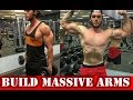 BUILD BIG ARMS - Aesthetic Bodybuilding Motivation | Michael Pieri Fitness