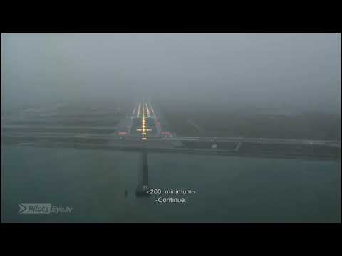 Airbus A350 - Landing (Retard)