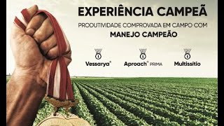 Miniatura do vídeo