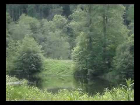 Gauja (song by ''Augstsprieguma līnija'')