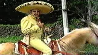 conocí a tu esposo - Vicente Fernández