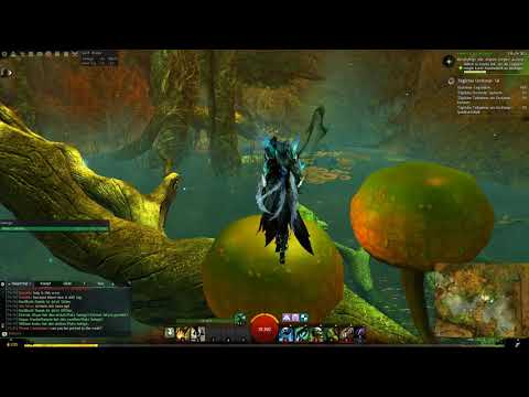Spießrutenlauf des Khan-Ur (Pathfinding) | Guild Wars 2