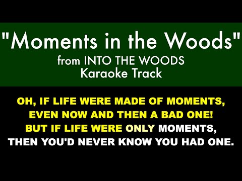 "Moments in the Woods" from Into the Woods - Karaoke Track with Lyrics on Screen