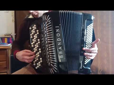 Brandoni (3/5 reeds) Compact Cassotto accordion