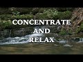 Best Music To Concentrate And Relax 8 Hours
