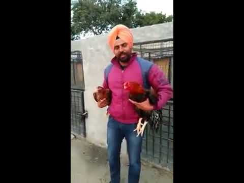 Gift for usatad Rana Safdar ji.