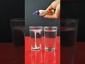 Fevicol Vs Cool Normal Water Experiment Easy Experiment Shorts