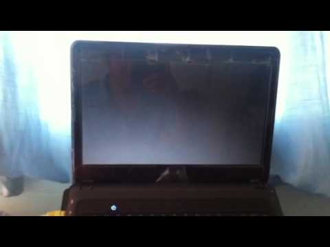 Windows 8