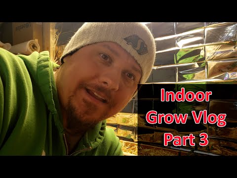 Gardening Indoors Vlog Part 1 of 10