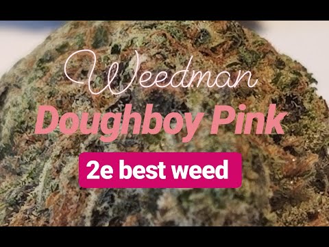 download lagu mp3 mp4 Meilleur Kush, download lagu Meilleur Kush gratis, unduh video klip Meilleur Kush