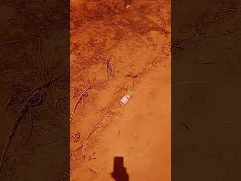 fazer a coleta dessa latinha nessa estrada saída de Formoso Mg