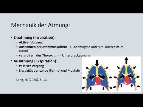 FoBi - Atmung und Beatmung Grundlagen
