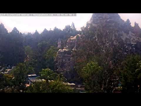 Live webcam of Disneyland Cam