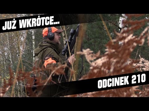 Darz Bór zapowiedź odcinka 210