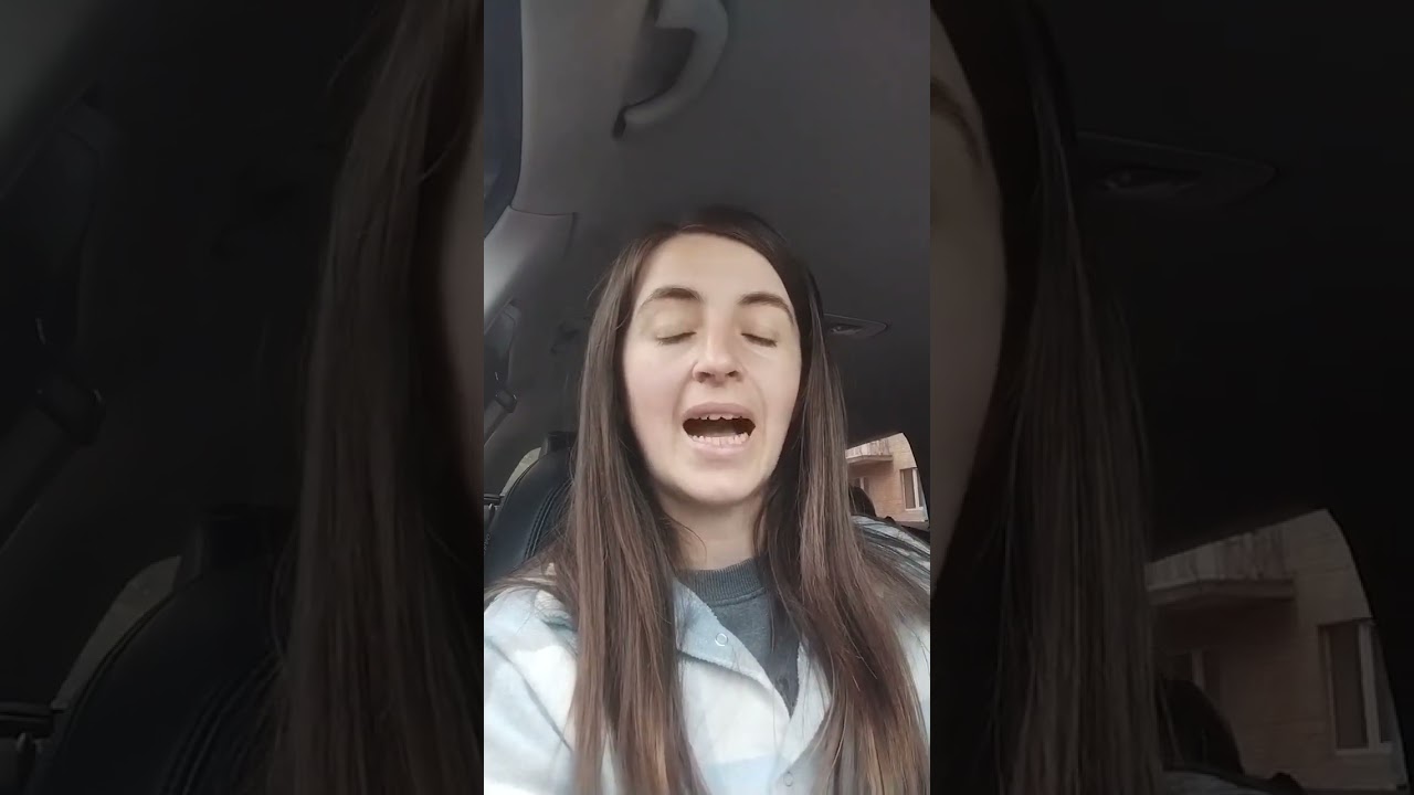 Platformanın icmalı 1