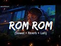 CARKK Rom Rom Song Rom Rom Lofi Song 2024