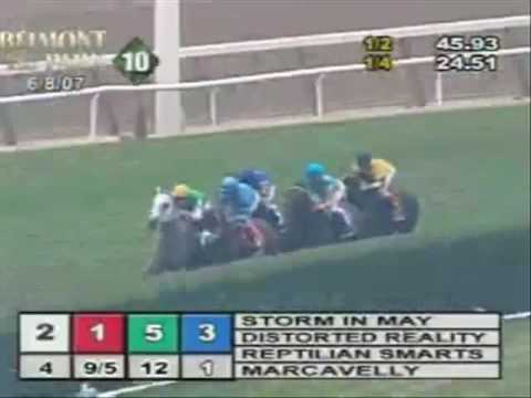 Marcavelly Wins The Hill Prince - Kahraman Stud