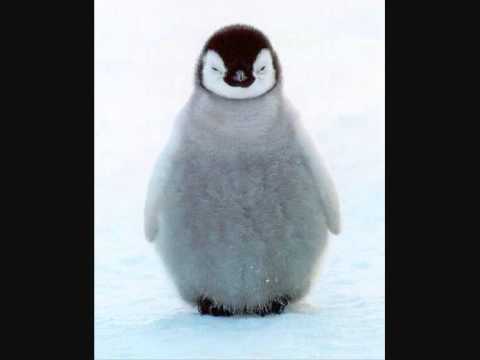 PolishPenguin Rap Dubstep Mash-up