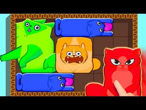 Puzzle Cats Gameplay Walkthrough All Levels iOS, Android - NEW GAME APP (Trailer)