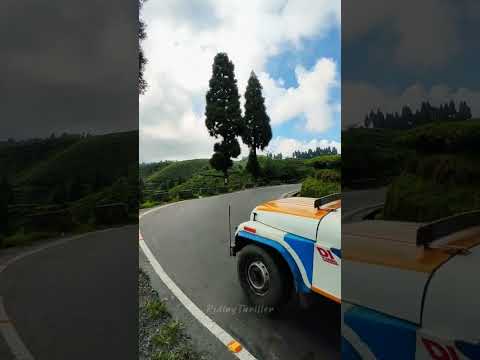 #travel #shortvideo #sushmita #nature #reels #reelsvideo #viral #viralvideo