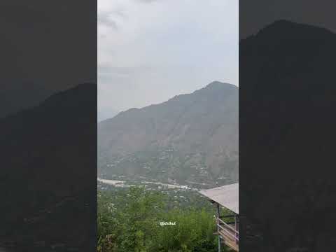 The dog and the view ❤️ #likecommentsharesubscribe #nature #mountainswiev #travel #himachalwheather