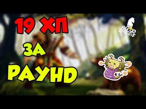 СУПЕР КАТКА С 0 ПОРАЖЕНИЙ ! AUTO CHESS