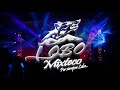 LOBO MIXTECO - LA  CUMBIA DEL SUPERIOR (LIVE 2020)