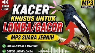 Download lagu Nyanyian Burung Robin Oriental Magpie | Suara Alam MP3 Jernih @Pjlpsemper mp3 Download lagu Nyanyian Burung Robin Oriental Magpie | Suara Alam MP3 Jernih @Pjlpsemper mp3