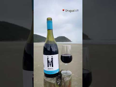 Pizzorno - 🍇 Marselan 2021 - V/V 12,5%. Canelones Uruguai @PizzornoWines #wine #vinho #uruguai