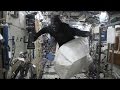 'Gorilla' chases astronaut Tim Peake around International Space Station