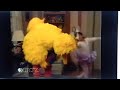 Big Bird And Gabi Dance Bedtime With Barney
